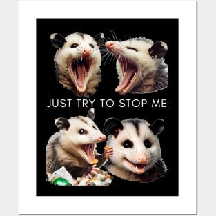 Just try to stop me Posters and Art